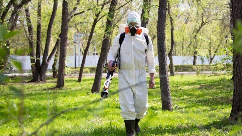 Уничтожение комаров в Севастополе